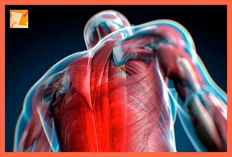 Caractéristiques de l'inconfort